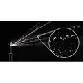 Rain Bird R-VAN Side Strip Rotary Nozzle 5' x 30' | A84669