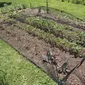 12' x 9' x 2-1/2' Pond and Garden Large Protector | AWGPGPLG
