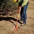 5" Steel Blade 14 ga Fiberglass Handle Curved Trenching Shovel | CORSS64715
