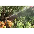 42 to 51' Full or Part Circle 3.9 to 7.8 gpm with Precision Jet 35A Series For ADJN-3 Nozzle with Integral Break-Up Pin Impact Sprinkler | RBA35APJADJTNT