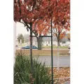 3/4" x 7' Dark Green Powder Coated Steel R2 Single Industry Standard Tree Staking System | REP101067