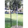11' Black Powder Coated Steel Mega Single Industry Standard Tree Staking System | REP3090111