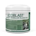 8.8 oz White Solid Granular Contact Algaecide | AQS29311