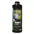 16 oz Pale Yellow Liquid Mild Inoffensive Odor Algaecide | MICALGA16