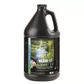 1 gal Pale Yellow Liquid Mild Inoffensive Odor Algaecide | MICALGAG