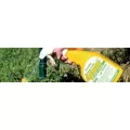 32 oz Liquid Organic Non-Selective Weed Killer | AVNWKC32