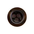 Alliance Outdoor Lighting Well Light, 5W, Brass | GL100-LED5W