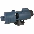 CJ101 Multi-Stage High Pressure Centrifugal Pump, 2 hp 115/230 V FW | CJ101C201AB