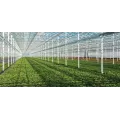 10 lb TM 4.5F Select, Broad Spectrum Systemic Fungicide