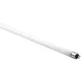 Spectralux T5 24 Watt HO Lamp 2 ft Blue 6500K (25/Cs)