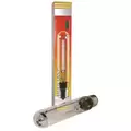 Ushio AHS 600 Opti Red (12/Cs)