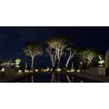 Alliance Lighting Bullet Light, 5W Bi-Pin 2900K MR-16 LED Aged Brass Solid Brass 15 to 60 Degrees Degrees Beam | AOLBL900LED5W
