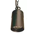 Alliance Lighting Hanging Light, 5W Bi-Pin MR-16 LED Aged Brass | AOLHL100LED5W