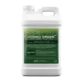 AmegaSciences Turf Pigment Colorant, 1-Gallon | AMAGREENHYBRID1G