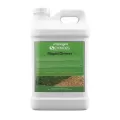 AmegaSciences Turf Paint, 2.5-Gallon | AMARAPIDGREEN25
