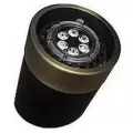 Alliance Outdoor Lighting Well Light, 2W to 7W 2700K/3000K/4000K PAR36 Bluetooth-Controlled LED Aged Brass ABS WL200 Series In-Ground | AOLWL200BT