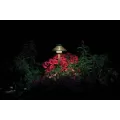 1.6 W Bi-Pin G4 2700K T3 LED Copper/Brass 12" Riser 83 Lumens Path Light | FXLDLLED20W12RCU