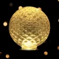Sun Warm White Faceted G50 Bulb | HBLBULEDG50SWW