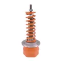 2" Threaded Cast Iron 11 - 120 psi 3100 Series Pressure Relief Valve | FVNF03122052
