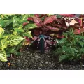Hunter MSBN Multi-Stream Bubbler Nozzle Full Circle | MSBN10F