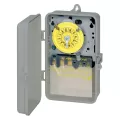 3 W 120 VAC Primary Gray/Yellow T100 Model Electro Mechanical Time Switch | ITMT101P