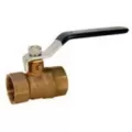 Nibco 1" FIPT Brass T-580-A Series 2-Piece Ball Valve | NL9600A