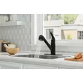 1/2" NPSM 10" x 9-7/8" Brass Tuscan Bronze 1-Handle Pfirst Series Pull-Out Kitchen Faucet | PPFG13310YY