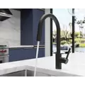 1/2" NPSM 16-3/8" Metal Matte Black 1-Handle Stellen Series Pull-Down Kitchen Faucet | PPFLG529SAB