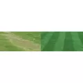 50 lb Granular 0-0-7 N-P-K Premium Insecticide | SPV2237600