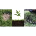 2.5 gal Liquid Black Flowable Soil Amendment