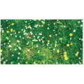 1 gal Triad SFZ Select Herbicide