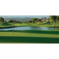 1 qt Liquid Green Pond Dye | SSCTURFMARKGQT