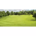 1 qt Liquid Blue Pond Dye | SSCTURFMARKBQT