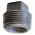 2" MNPT Black Malleable Iron 387 Series Domestic Plug | TFBP020D