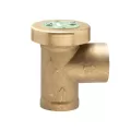1" FNPT Brass 125 psi 188A Series Anti-Siphon Vacuum Breaker | WAT188A010