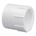 2" Adapter PVC Sch. 40 Slip x FPT | 435-020B