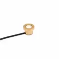 Underwater Light, 6 W 2700K Integrated LED Natural Brass Die-Cast C360 Brass Zoning/Color Changing