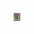 Rain Bird LDQ Polyethylene Landscape Dripline 1/4" x 100' 1 gph 6" Space Brown | X35201