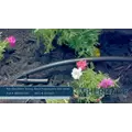 Rain Bird XBS Polyethylene Blank Tubing 1/2" x 100' Black | X35400