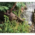 Waterfall Oasis Series Fastfall Fipt 16-1/2"x9-1/2"x7-1/4" 3000 Gph 16" W | SP1600