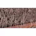 Rain Bird XFS Dripline 500' 0.92 gph 12" Emitter Spacing 16 mm Brown | X48032