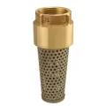 Boshart Industries Foot Valve 2" Nominal, FNPT End Style | 17YBFV200NL