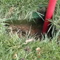 1 gpm with 36" Hose Utility Pump | KNG48036