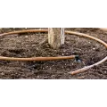 Hunter MLD Drip Irrigation Line 1/4" x 100' 0.5 gph 6" Space Black | MLD0506100BL
