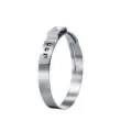 Stainless Steel 167 Series Ear Clamp | OTK16700046R