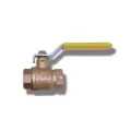 1" FNPT Forged Brass USA9101 Series 2-Piece Ball Valve | DBV010F