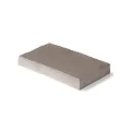 12" x 21" Large Rectangular Pebble Taupe Richcliff Paver | UNP3120211282207