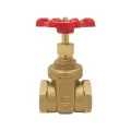 1-1/2" FNPT Brass 200 psi 206F Series Gate Valve | RWVGV015F