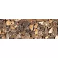 1 Gallon Clear Gravel | CTKGLKCG