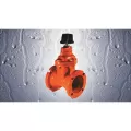 4" Mechanical Joint Ductile Iron 250 psi 115MJ Series Gate Valve | FMT8563MJ